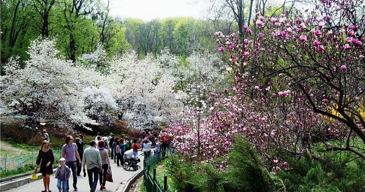 Dnipropetrovsk University Botanical Garden