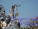 Carnival-113