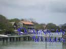 colombian-women-city-tour-14
