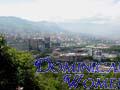medellin-women-50