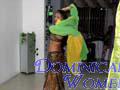 medellin-women-61