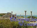 women tour yalta 0703 66
