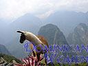 Machu-Picchu-009