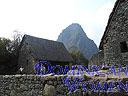 Machu-Picchu-017